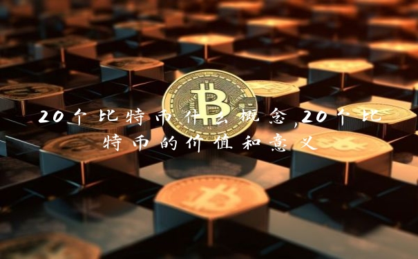 20个比特币什么概念,20个比特币的价值和意义