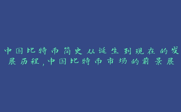 中国比特币简史从诞生到现在的发展历程,中国比特币市场的前景展望