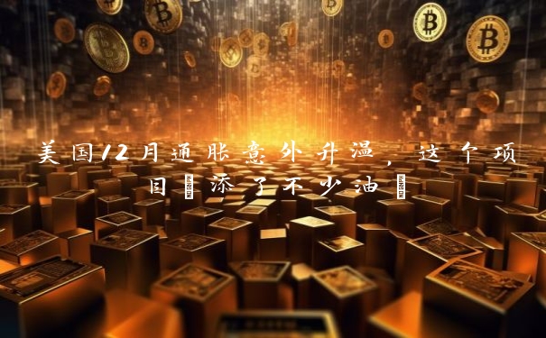美国12月通胀意外升温,这个项目“添了不少油”