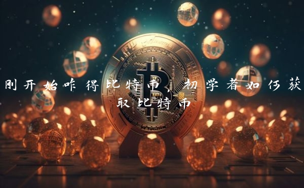 刚开始咋得比特币,初学者如何获取比特币