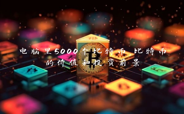 电脑里5000个比特币,比特币的价值和投资前景