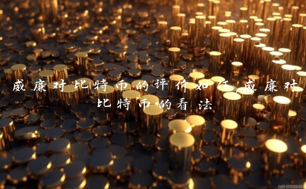 威廉对比特币的评价如何,威廉对比特币的看法