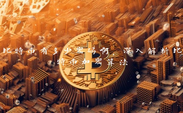 比特币有多少密码啊,深入解析比特币加密算法
