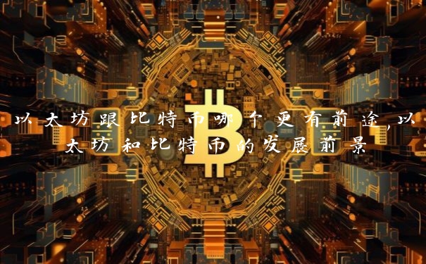 以太坊跟比特币哪个更有前途,以太坊和比特币的发展前景