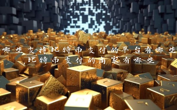 哪些支持比特币支付的平台有哪些,比特币支付的商家有哪些