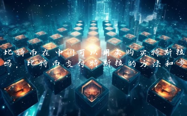比特币在中国可以用来购买特斯拉吗,比特币支付特斯拉的方法和步骤