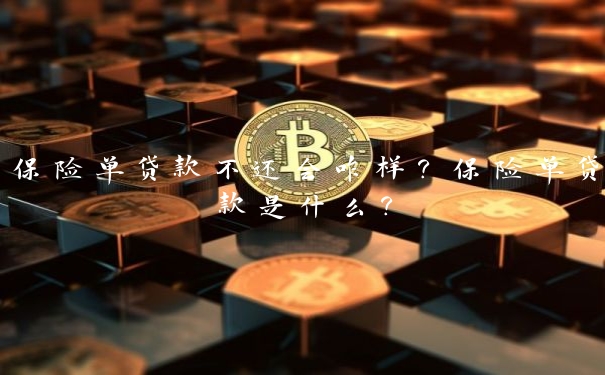 保险单贷款不还会咋样？保险单贷款是什么？