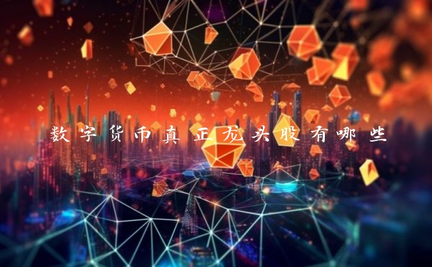 数字货币真正龙头股有哪些