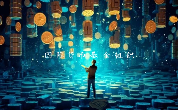 国际货币基金组织