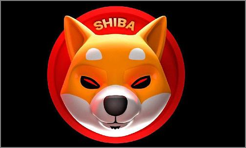 shib暴富的人提现成功了吗,马斯克与shib的关系